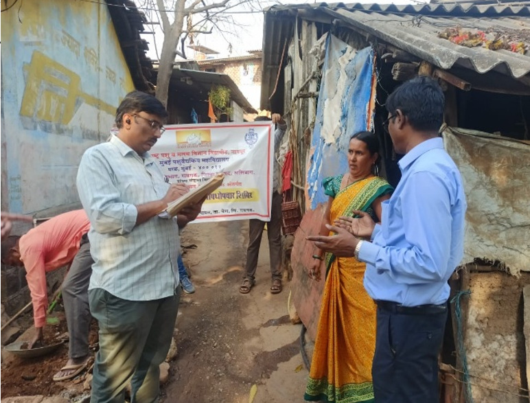 Survey Of The Village